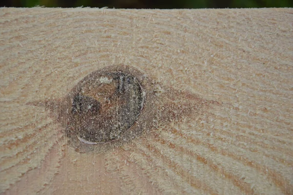 제재소에서 소나무로 판자와 목재로 — 스톡 사진
