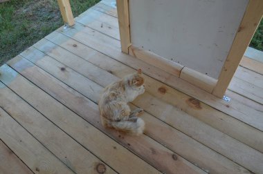 Raflardan ve kirişlerden oluşan verandanın girişinin inşaatı