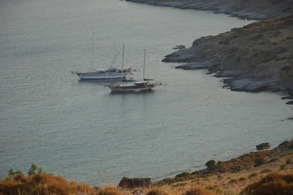 Bodrum Turkish July 2020 Yachts Parked Marina — стокове фото