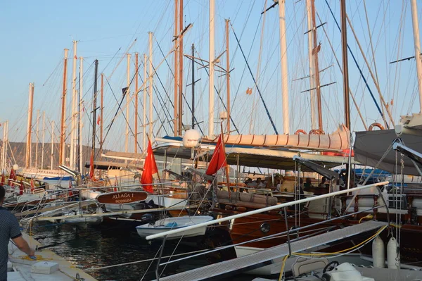 Bodrum Turkish Ιουλίου 2020 Yachts Σταθμευμένα Στη Μαρίνα — Φωτογραφία Αρχείου