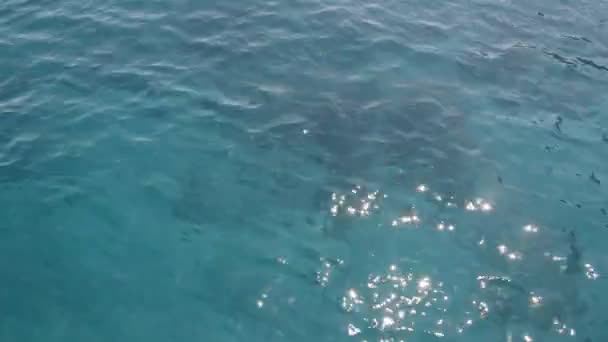 Texture de l'eau de mer vert-bleu dans la mer Égée