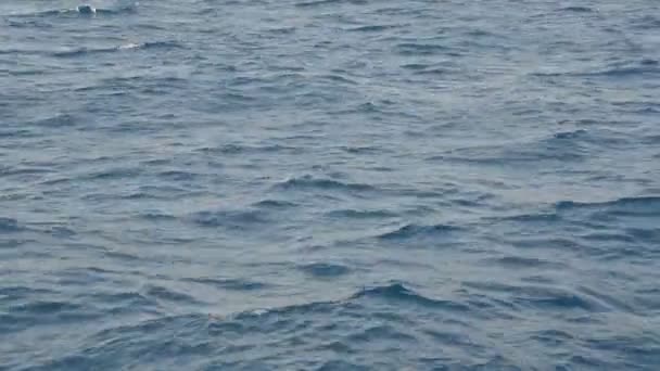 Texture de l'eau de mer vert-bleu dans la mer Égée