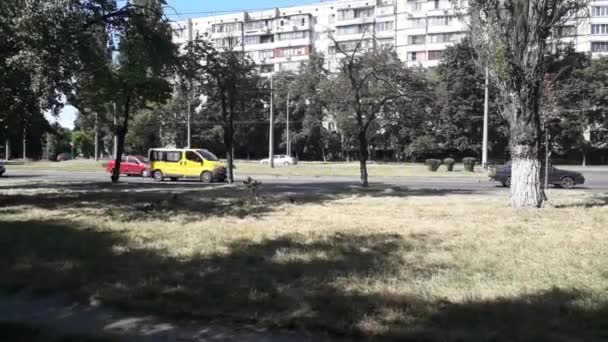 Kyiv Ukraine 2020年7月18日 路上走行車 — ストック動画
