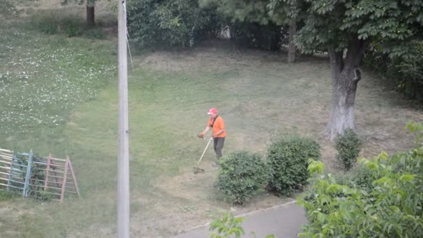 Trabajador Masculino Corta Césped Con Trimmer Gasolina — Vídeo de stock