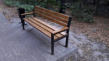 Ahşap ve metalden yapılmış bir bank park boyunca durur.