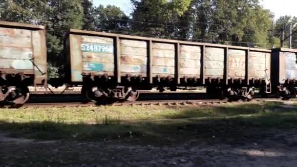 Kiev Region Ukrajna 2020 Szeptember Áruszállító Vasúti Kocsik Közlekednek Állomáson — Stock videók