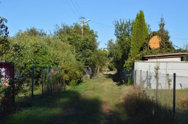 Sonbaharda kırsal bir köyde yol
