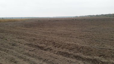 Bitki gübresi hasadından sonra sonbaharda tarlayı sürüyorum.
