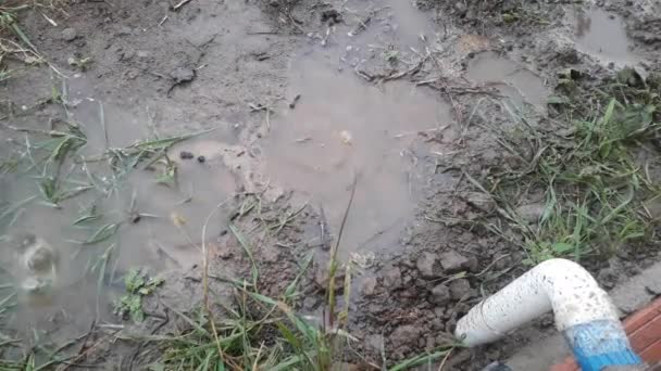 Chuva Goteja Ralo Para Chão — Vídeo de Stock