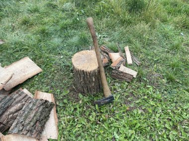 Taze doğranmış meşe odunları dışarıda istiflenmiş.