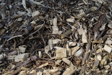 Talaş ve ince kıyılmış ağaç dalları eski kararmış