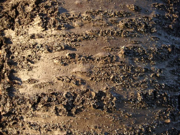 Textura Uso Madeira Casca Como Fundo Natural — Fotografia de Stock