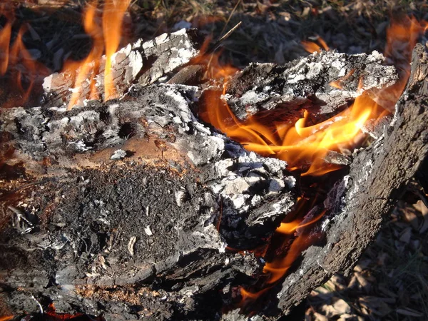 Brennholz Kamin Nahaufnahme Holzkohlehintergrund — Stockfoto