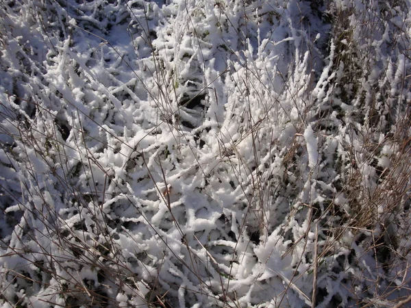 Kar Taneleri Yeşil Çim Yumuşak Odak Üstünde Güzel Beyaz Kar — Stok fotoğraf