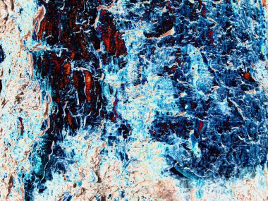 Kuru ağaçlar ve yaşayan ağaçların kabuk yapısını. Kahverengi tonları. Doğa