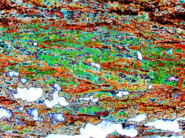 Sorunsuz ağaç kabuğu doku. Web sayfası dolgu veya grafik tasarım için sonsuz ahşap arka plan. Neon