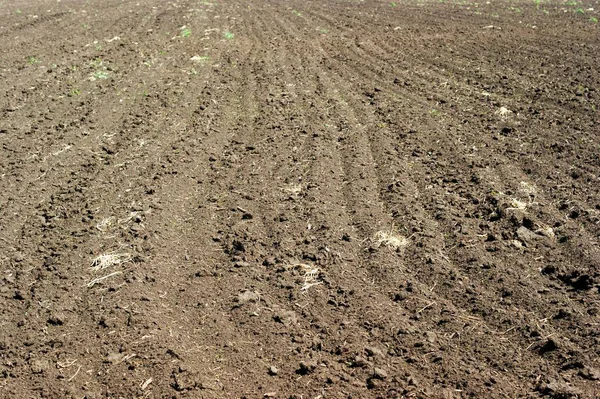 Close up of arable land soil recently ploughed for new season