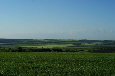 Ortaçağ elbiseli orta yaşlı beyaz kadın bozkırda yürüyor