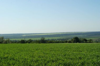 Ortaçağ elbiseli orta yaşlı beyaz kadın bozkırda yürüyor