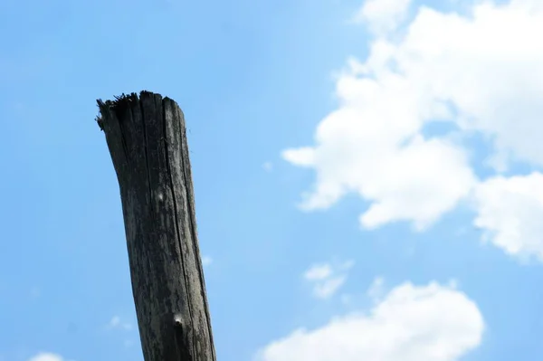 Bulutlar ile mavi bir gökyüzünde ahşap eski kahverengi kavşak işareti — Stok fotoğraf
