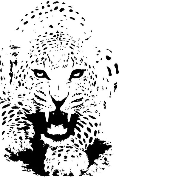 Tijger Panther zwart-wit illustratie vector. — Stockvector