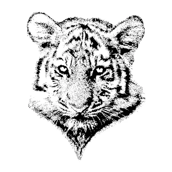Τίγρη πάνθηρα μαύρο και άσπρο εικόνα διάνυσμα. — Διανυσματικό Αρχείο