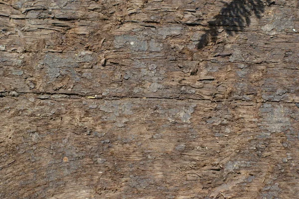 Gamla trä styrelser textur för kort bakgrund — Stockfoto