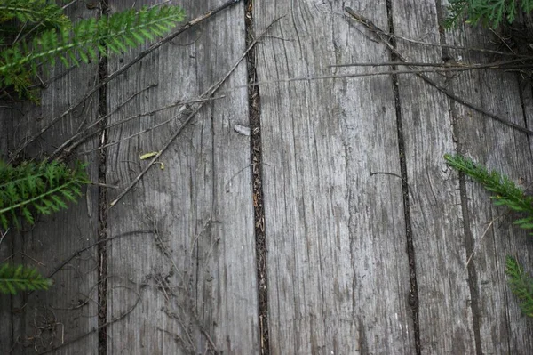 Vecchio legno tavole texture per sfondo carta — Foto Stock