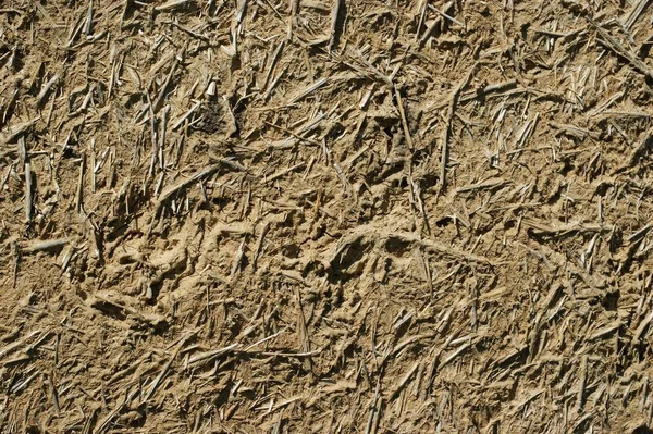 Old wall of a combination of red clay and straw — ストック写真