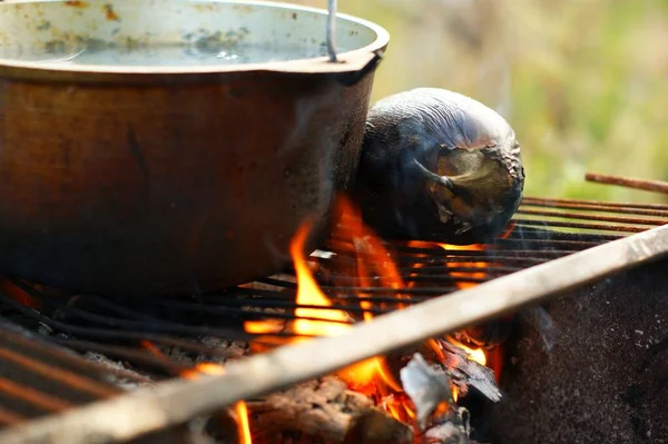 Vissoep en aubergine staan op de grill op de brandstapel.. — Stockfoto