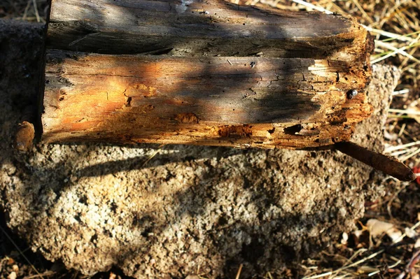 Přírodní zauzlené hnědé ošlehaný dřevo prkno textury — Stock fotografie