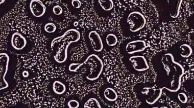 Taşıma sıvısı soyut. Görsel yanılsamalar, hareket eden dalgalar