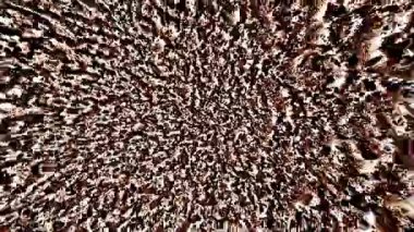 Renkli lazer arkaplan Holografik VJ arkaplanı
