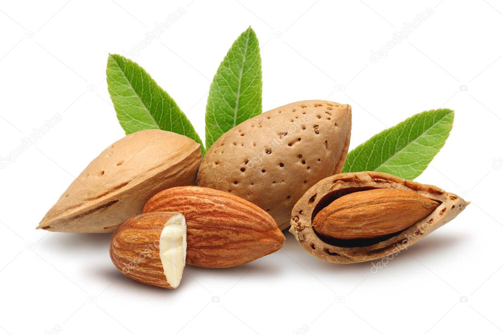 almonds with leaves isolated on white background