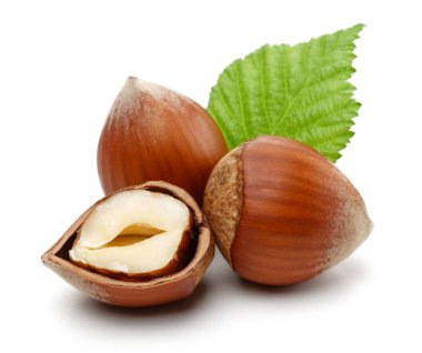 Yeşil yapraklı fındıklar beyaz arkaplanda izole edilmiş