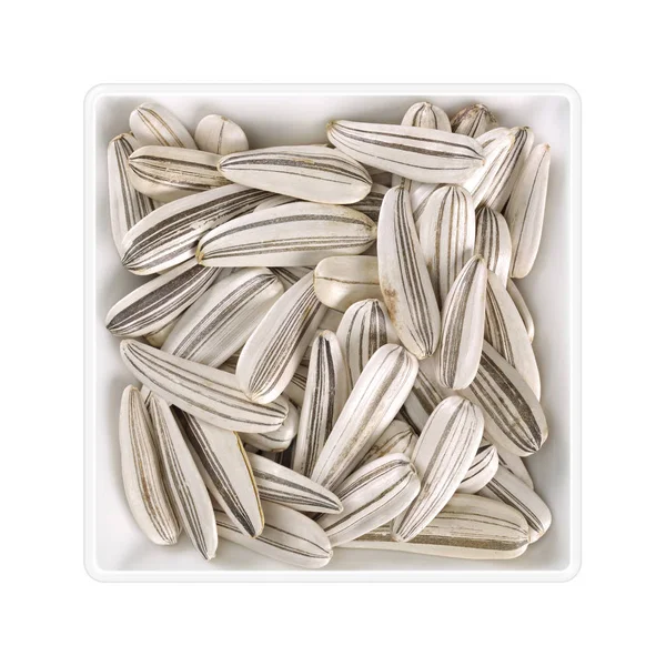 Sunflower Seeds Square Bowl White Background — Stock Photo, Image