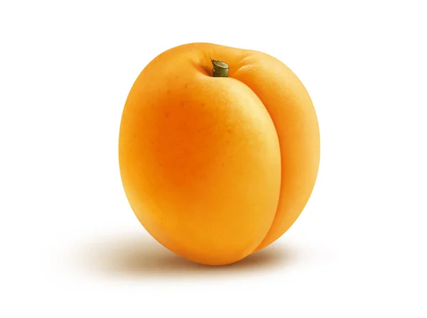 Fresh Apricot Illustration Digital Painting — Stock Photo, Image
