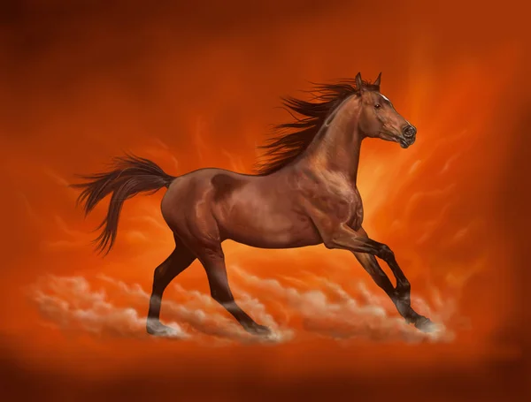 Brown Horse Illustration Digital Painting — Stock Photo, Image