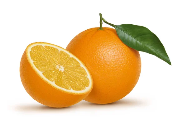 Orange Fruit Illustration Digital Painting — Stock Photo, Image