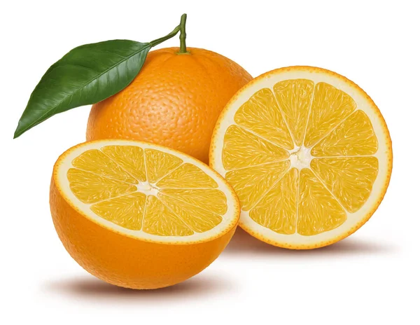 Orangenfrucht Illustration Digitale Malerei — Stockfoto