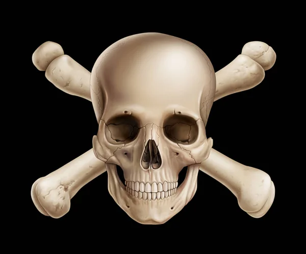 Danger, Human skull illustration, digital painting