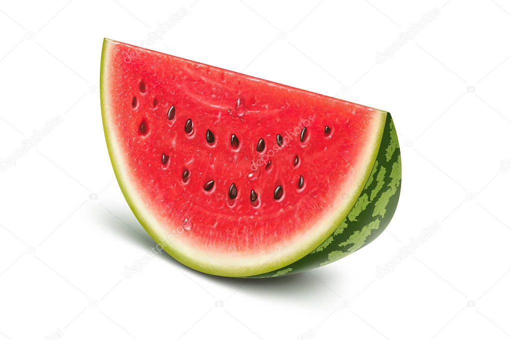 Watermelon slice illustration, digital painting