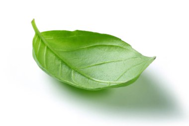 Beyaz arka plan üzerinde izole yeşil fesleğen yaprağı