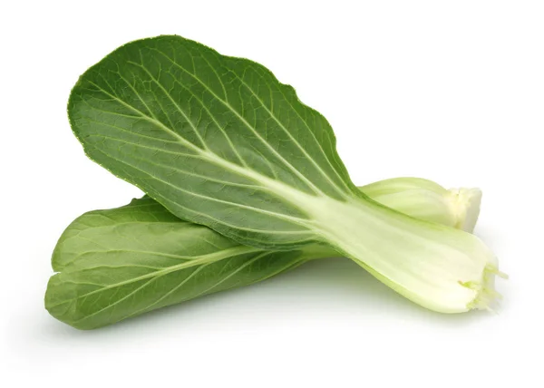 Bok Choy Kínai Kel Elszigetelt Fehér Background — Stock Fotó