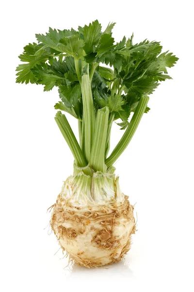 Čerstvý Celer Celer Izolovaných Bílém Pozadí Studio Záběr — Stock fotografie
