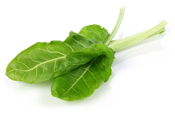 Fresh Chard Leaves Isolated White Background Macro Studio Shot — Stock Photo, Image