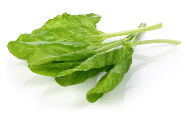 Bunch Fresh Chard Leaves Isolated White Background Macro Studio Shot — Stock Photo, Image