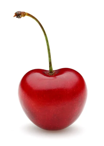 Dojrzałe Cherry Red Szypułka Białym Tle Białym Tle — Zdjęcie stockowe