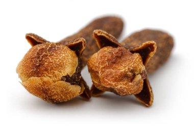 Kuru karanfil tomurcukları beyaz arka plan üzerinde izole. Makro, stüdyo vurdu.