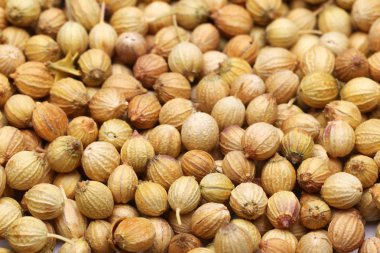 Arka plan kişniş tohumu, tam kare